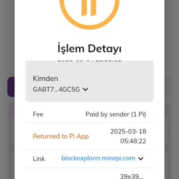 I Can’t Access My 311 Pi Coins Despite Withdrawal Approval on Pi Network