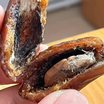 A101'den Aldığım Hurmanın İçinden Böcek Ve Küf Çıktı