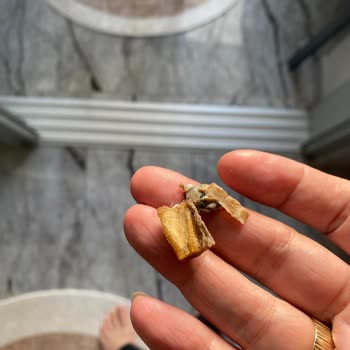 Lokumun İçinden Sigara İzmariti Çıktı, Hayal Kırıklığına Uğradım!