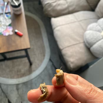 Lokumun İçinden Sigara İzmariti Çıktı, Hayal Kırıklığına Uğradım!