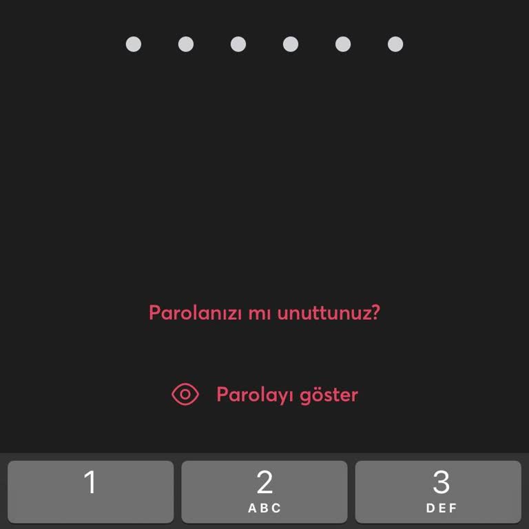 Sim Kart Blokesi Nedeniyle Hesabıma Giriş Yapamıyorum, Çözüm Bulunmuyor