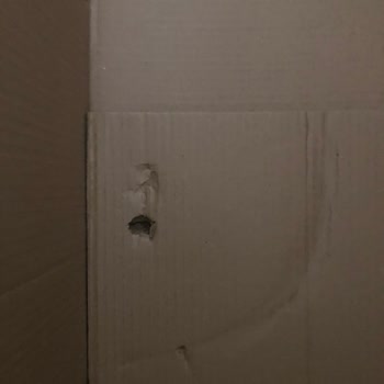 Kırık Ürün Ve Satıcı İlgisizliği Nedeniyle Mağduriyet Yaşadım