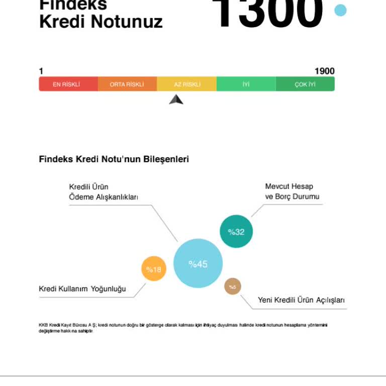 Kredi Puanım Yükseldiği Halde Kredi Ve Kart Başvurularım Reddediliyor