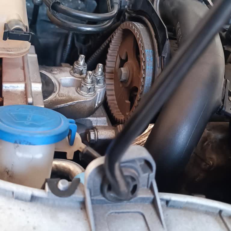 Dayco Kayış Triger Seti Değişimi Sonrası Yaşanan Sorun Ve Ek Masraf