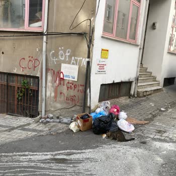 Çöp Sorunu İçin Acil Denetim Ve Yaptırım Talebi