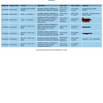 Engelli Emeklilik Başvurumun Sonuçlanmaması Ve Bilgi Alamama Sorunu