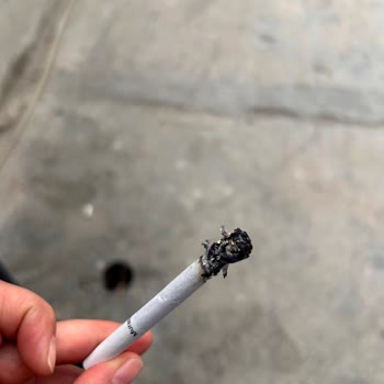 Murattı Sigara Kalitesinde Ciddi Düşüş Ve Müşteri Mağduriyeti