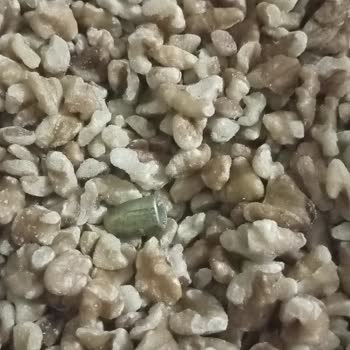 Aldığım Ceviz İçinden Mermi Çıktı, Fabrikaya Ulaşamıyorum