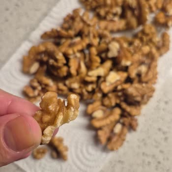 Ağ Bağlamış Ve Kurtlu Cevizler Sağlığımızı Tehdit Ediyor