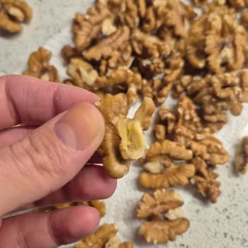 Ağ Bağlamış Ve Kurtlu Cevizler Sağlığımızı Tehdit Ediyor