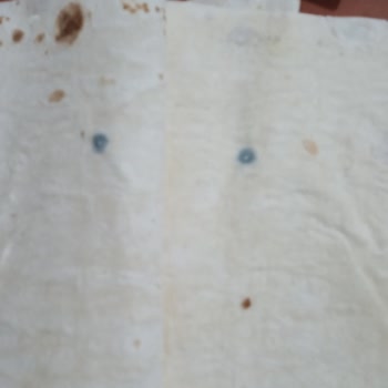 Komagene Bayisinden Aldığım Lavaşlar Küflü Çıktı, Hayal Kırıklığı Yaşadım