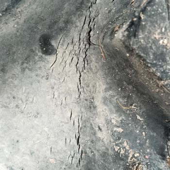 Sıfır Traktörün Lastikleri Çatladı, Çözüm Bekliyorum