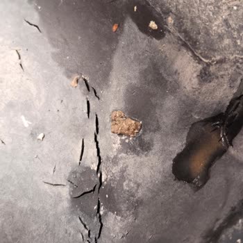 Sıfır Traktörün Lastikleri Çatladı, Çözüm Bekliyorum