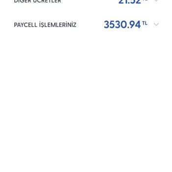 Çocuğumun İzinsiz Oyun İçi Harcamaları İçin İade Talebi