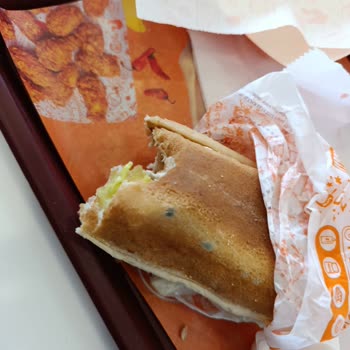 Bayat Ve Küflü Ekmek Şoku