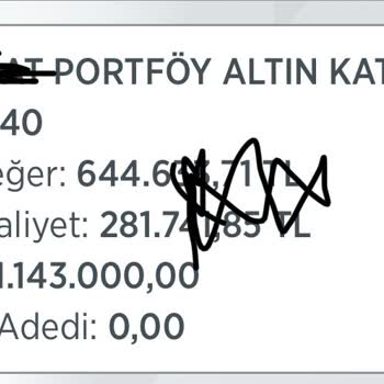 Altın Fonunda Büyük Kayıp Ve Telafisi Olmayan Zarar