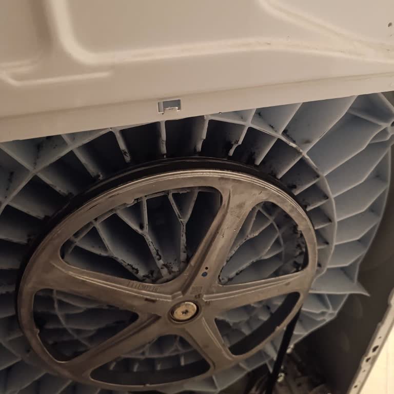 Bosch Çamaşır Makinesi Garanti Sonrası Arıza Ve Yüksek Tamir Ücreti Mağduriyeti