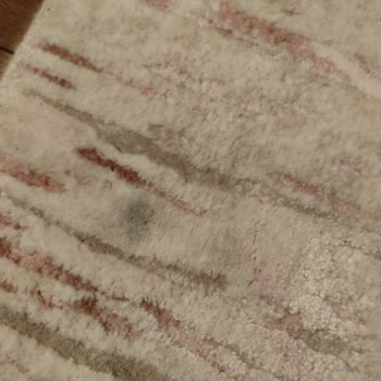 Halı Yıkamada Özensizlik Ve Yıkanmadan Teslim
