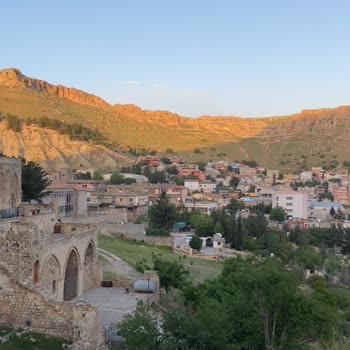 İphone 12 Mini Kamera Kalitesi Aniden Düştü