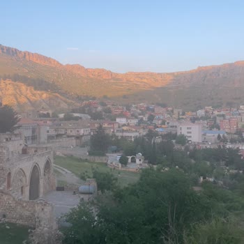 İphone 12 Mini Kamera Kalitesi Aniden Düştü