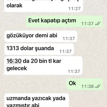 Matrix5 Uygulamasında Yatırımcıların Mağduriyeti Ve Yetersiz Denetim