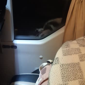 Biletli Yolculukta Mağduriyet Ve Koltuk Değişikliği Yaşadım