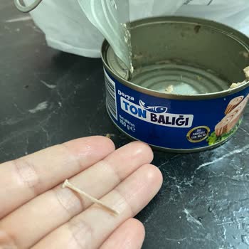 Ton Balığında Kılçık Tehlikesi: İnsan Sağlığı Riski