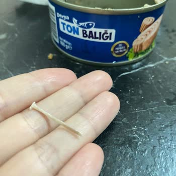 Ton Balığında Kılçık Tehlikesi: İnsan Sağlığı Riski