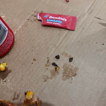 Domino's Pizzada Taş Çıktı, Dişim Kırıldı!
