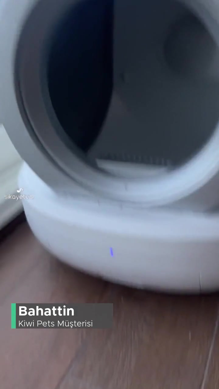 Kiwi Pets Kedi Tuvaleti Arızası! videonun kapak resmi