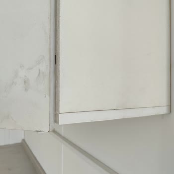 Küflenmiş Kapı Ve Su Almış Mutfak Dolabı Mağduriyeti