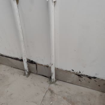 Küflenmiş Kapı Ve Su Almış Mutfak Dolabı Mağduriyeti