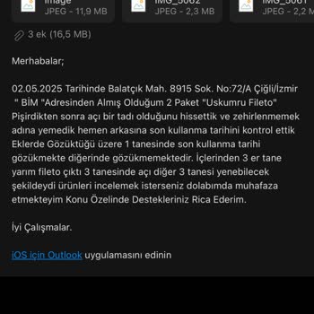 Son Kullanma Tarihi Belirsiz Ve Bozuk Uskumru Fileto