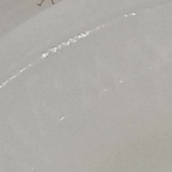 Açılmamış Su Şişesinde Kırmızı Böcek Görmek Hayal Kırıklığı Yarattı