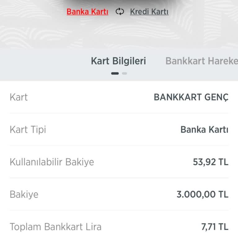 Burs Ücreti Hesaba Yatmasına Rağmen Kullanılamıyor