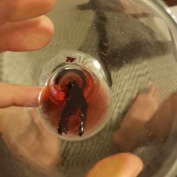 Suvla Wines Şarapta Pislik Ve Tortu Var!