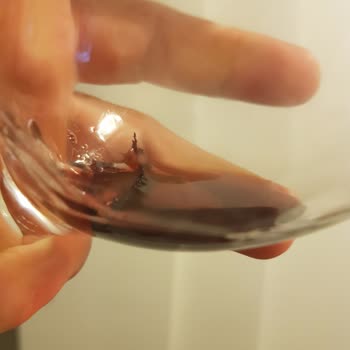 Suvla Wines Şarapta Pislik Ve Tortu Var!