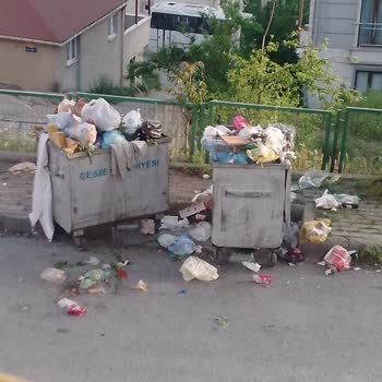Gebze Belediyesi Çöp Konteynerlerinin Kaldırılması Talebi Ve Kötü Koku Sorunu!