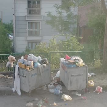 Gebze Belediyesi Çöp Konteynerlerinin Kaldırılması Talebi Ve Kötü Koku Sorunu!