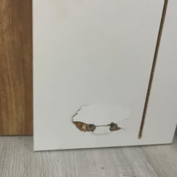 Kusurlu Ürün İadesi Reddi Ve Mağduriyet