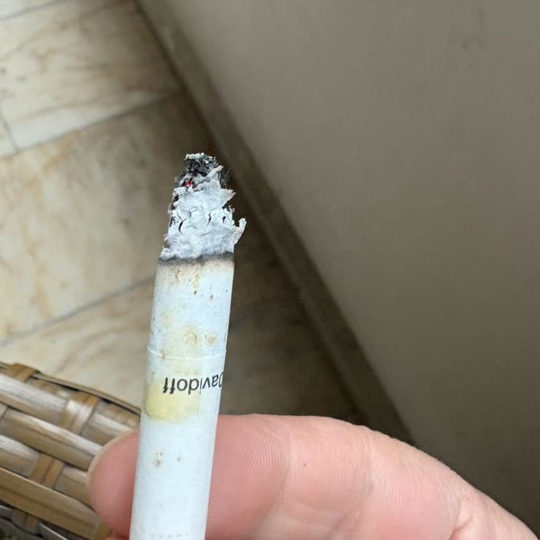 Aldığım Davidoff White Paketlerinde Küf Benzeri Lekeler Ve Kalite Sorunu