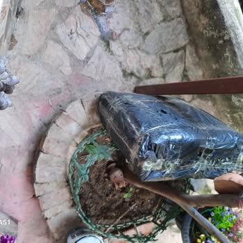 Yurtiçi Kargo Bir Haftadır Kurye Çağırıyorum!