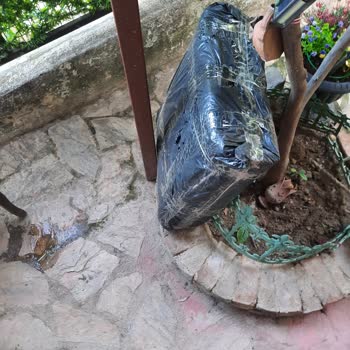 Yurtiçi Kargo Bir Haftadır Kurye Çağırıyorum!