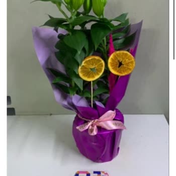 Yanlış Ve Tomurcuklu Çiçek Gönderimi, İlgisiz Müşteri Hizmetleri