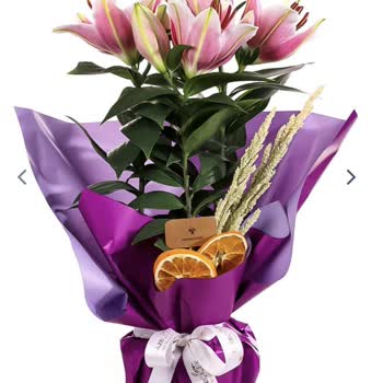 Yanlış Ve Tomurcuklu Çiçek Gönderimi, İlgisiz Müşteri Hizmetleri