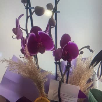 Siparişim Görselden Farklı Gönderildi, Çözüm Sunulmadı