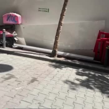 İstanbul Büyükşehir Belediyesi İlgisizliği!