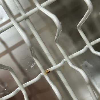 Miele Bulaşık Makinesi Sepetinde Paslanma Ve Yüksek Yedek Parça Ücreti