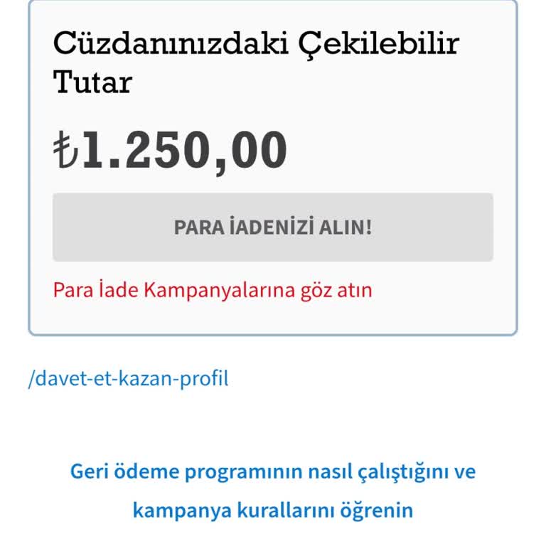 Para İadesi Cüzdanda Kaldı, Hesabıma Aktaramıyorum!