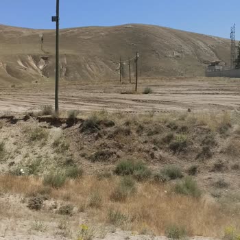 Tarlamda İzinsiz Direkler Tarım Yapamıyorum Çözüm Bulamıyorum